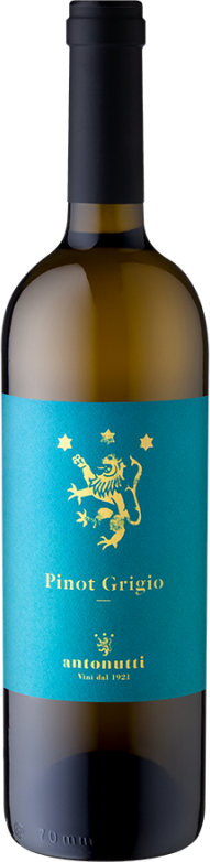 Pinot Grigio Friaul (2024) - Antonutti - Weißwein aus Friaul, Italien
