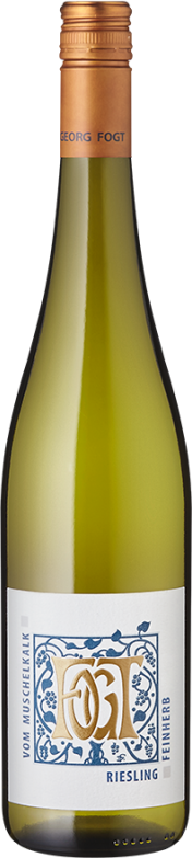 Vom Muschelkalk Riesling feinherb (2023) - Fogt - Weißwein aus Rheinhessen, Deutschland