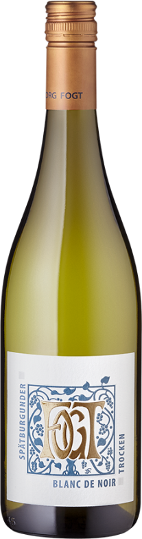 Spätburgunder Blanc de Noir trocken (2024) - Fogt - Weißwein aus Rheinhessen, Deutschland