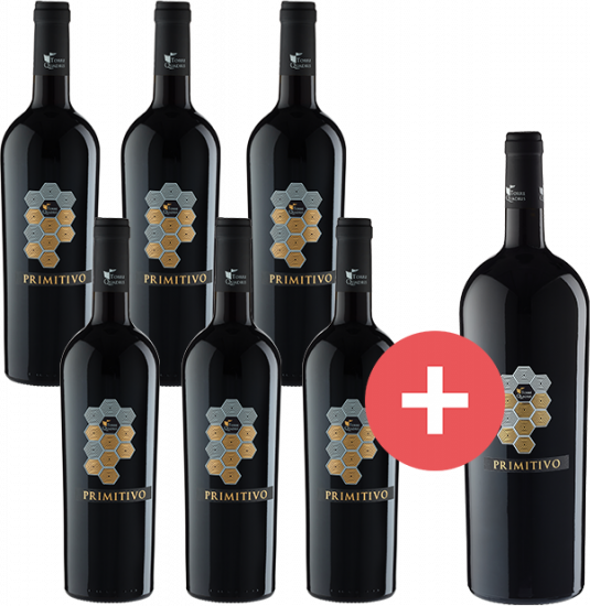 6er-Paket Torre Quadris Primitivo + GRATIS Magnum - Weinpakete