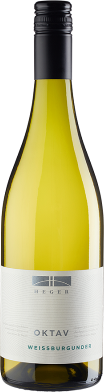 Oktav Weißburgunder trocken (2024) - Heger - Weißwein aus Baden, Deutschland