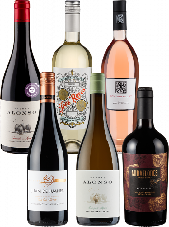 6er-Kennenlernpaket Spanien - Weinpakete