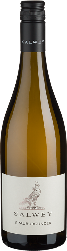 Grauburgunder trocken (2024) - Salwey - Weißwein aus Baden, Deutschland