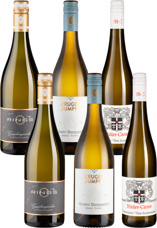 6er-Paket VDP-Winzer Grauburgunder - Weinpakete