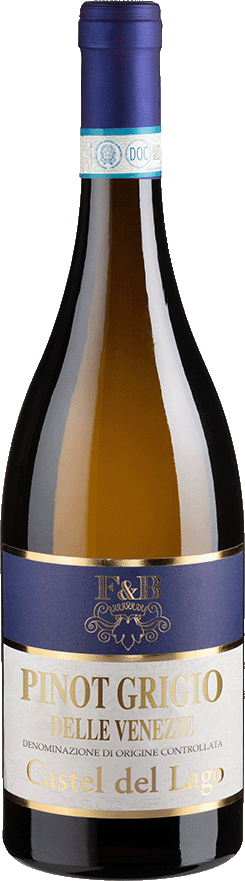 Pinot Grigio Castel del Lago (2024) - Riolite Vini - Weißwein aus Italien