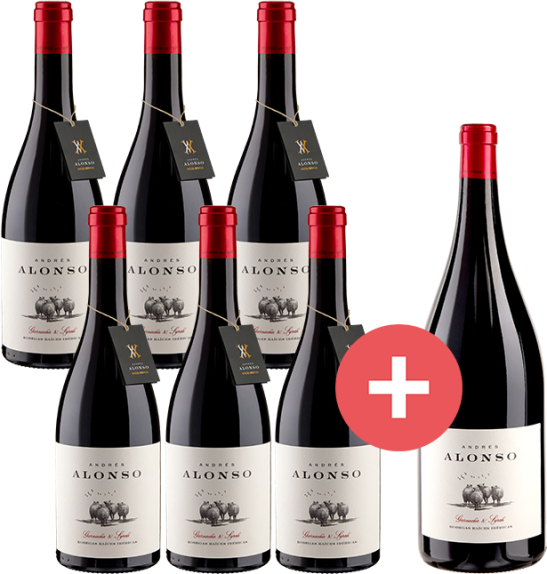 6er-Paket Andrés Alonso + GRATIS Magnum - Bodegas Raices Ibericas - Weinpakete