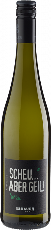 Thumbnail - Scheu aber Geil! trocken (2024) - Emil Bauer - Weißwein aus der Pfalz, Deutschland