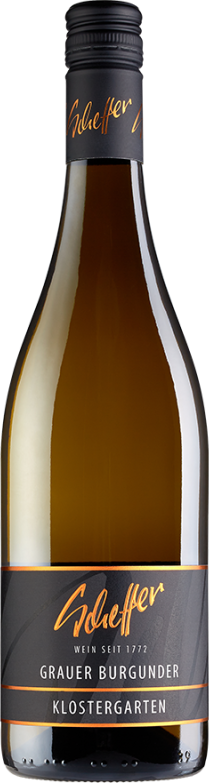 Klostergarten Grauburgunder trocken (2024) - Scheffer - Weißwein aus Rheinhessen, Deutschland