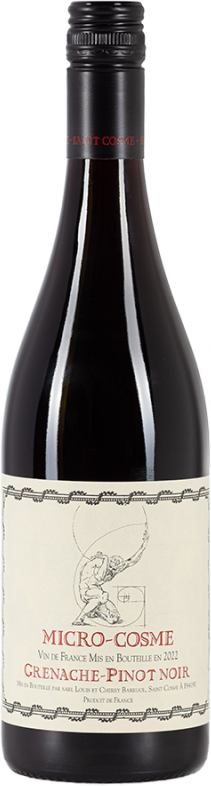 Micro Cosme - Saint Cosme - Rotwein aus Frankreich