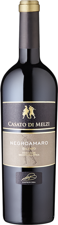 Negroamaro Salento (2022) - Baglio Gibellina - Rotwein aus Apulien, Italien