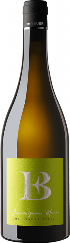 Thumbnail - Sauvignon Blanc Nussdorf (2024) - Emil Bauer - Weißwein aus der Pfalz, Deutschland