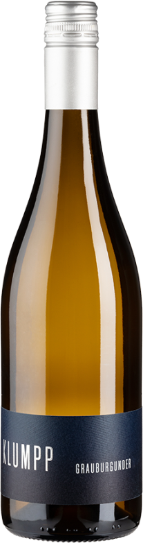 Grauburgunder trocken Bio (2024) - Klumpp - Weißwein aus Baden, Deutschland