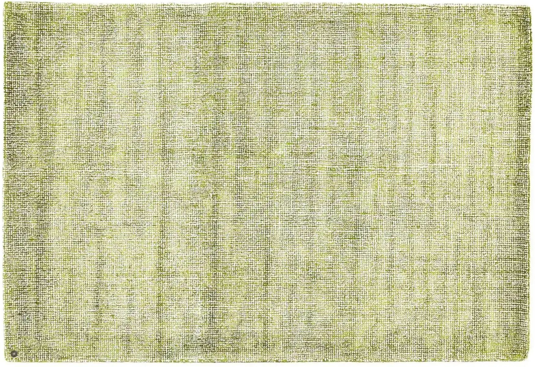 Tom Tailor Wollteppich  Groove ¦ grün ¦ Wolle ¦ Maße (cm): B: 160 Teppiche > Einfarbige Teppiche - Höffner