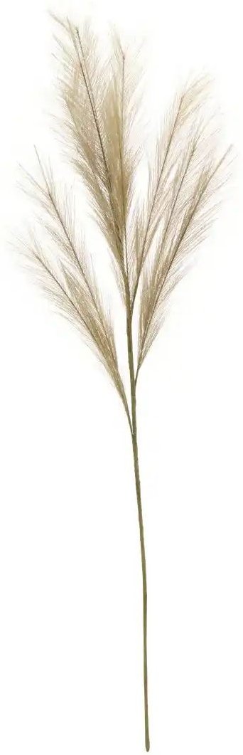 Pampaswedel ¦ braun ¦ Kunststoff,Naturfaser ¦ Maße (cm): B: 18 H: 110 Accessoires > Kunstblumen - Höffner