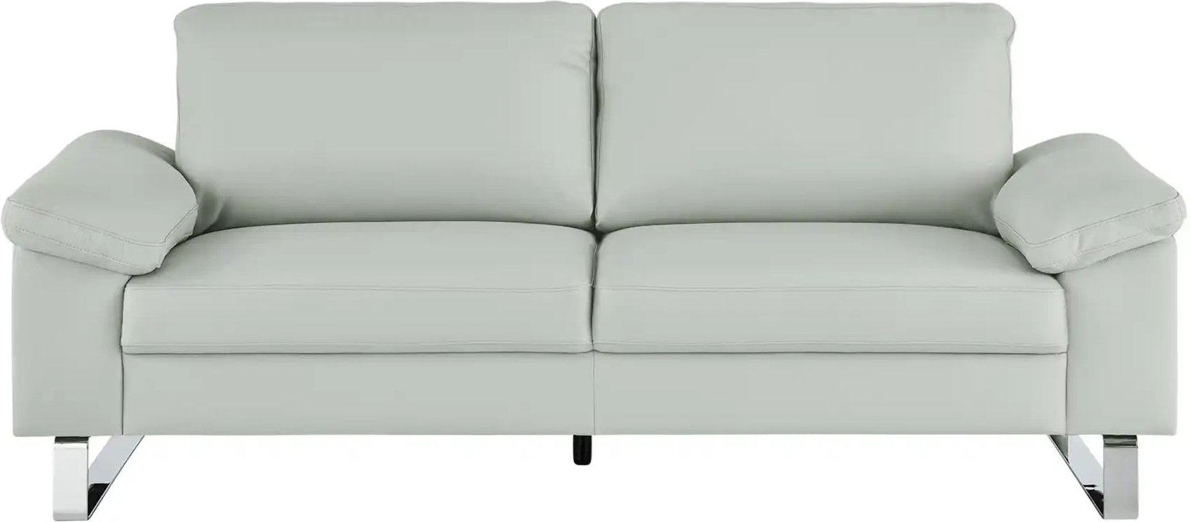 Max Schelling Ledersofa mit Kufengestell Maximum ¦ grau ¦ Maße (cm): B: 204 H: 86 T: 97.0 Polstermöbel > Sofas > 2-Sitze...