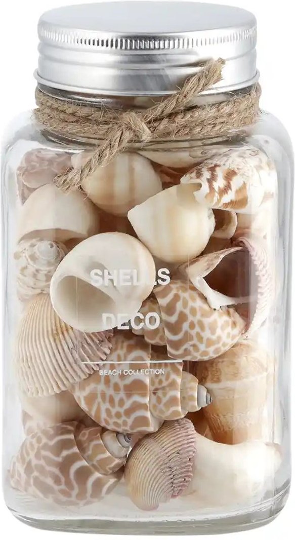 HOME STORY Muschelmix im Glas ¦ beige ¦ Naturfaser,Glas ¦ Maße (cm): B: 9 H: 14,8 T: 9.0 Accessoires > Dekoartikel - H...