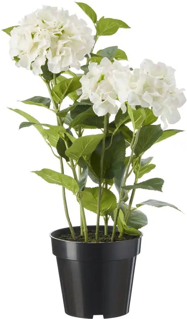 Hortensie getopft   ¦ weiß ¦ Kunststoff ¦ Maße (cm): H: 85 Accessoires > Kunstblumen - Höffner