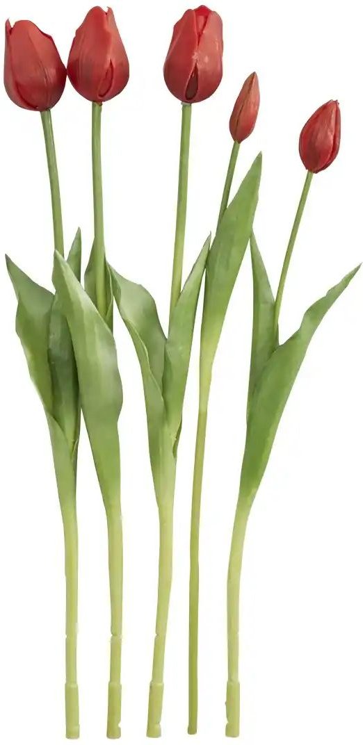 Französischer Tulpenbund   ¦ rot ¦ Polypropylen,Kunststoff ¦ Maße (cm): H: 47 Accessoires > Kunstblumen - Höffner