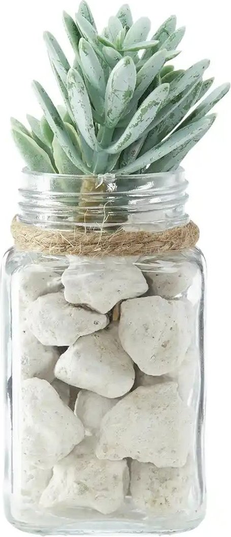 Sukkulente im Glasgefäß ¦ grün ¦ Kunststoff,Glas,Stein ¦ Maße (cm): B: 8,5 H: 15,5 T: 8.5 Accessoires > Kunstblumen - ...