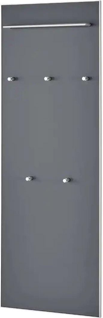 Garderobenpaneel Duna ¦ grau ¦ Glas,Holzwerkstoff ¦ Maße (cm): B: 60 H: 170 T: 10.0 Garderoben & Kleiderstangen > Wandg...