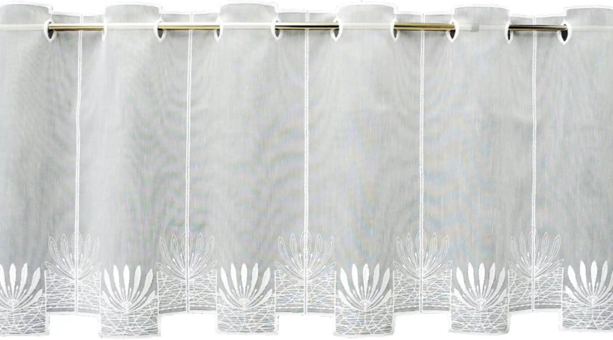 FLORENTINA Scheibengardine ¦ weiß ¦ Synthetik ¦ Maße (cm): B: 144 H: 45 Gardinen & Rollos > Gardinen & Vorhänge > Schi...