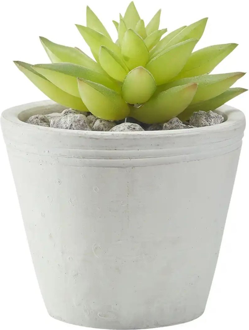 Sukkulente im Zementtopf ¦ grün ¦ Kunststoff,Zement,Stein ¦ Maße (cm): H: 11 Ø: 9 Accessoires > Kunstblumen - Höffner