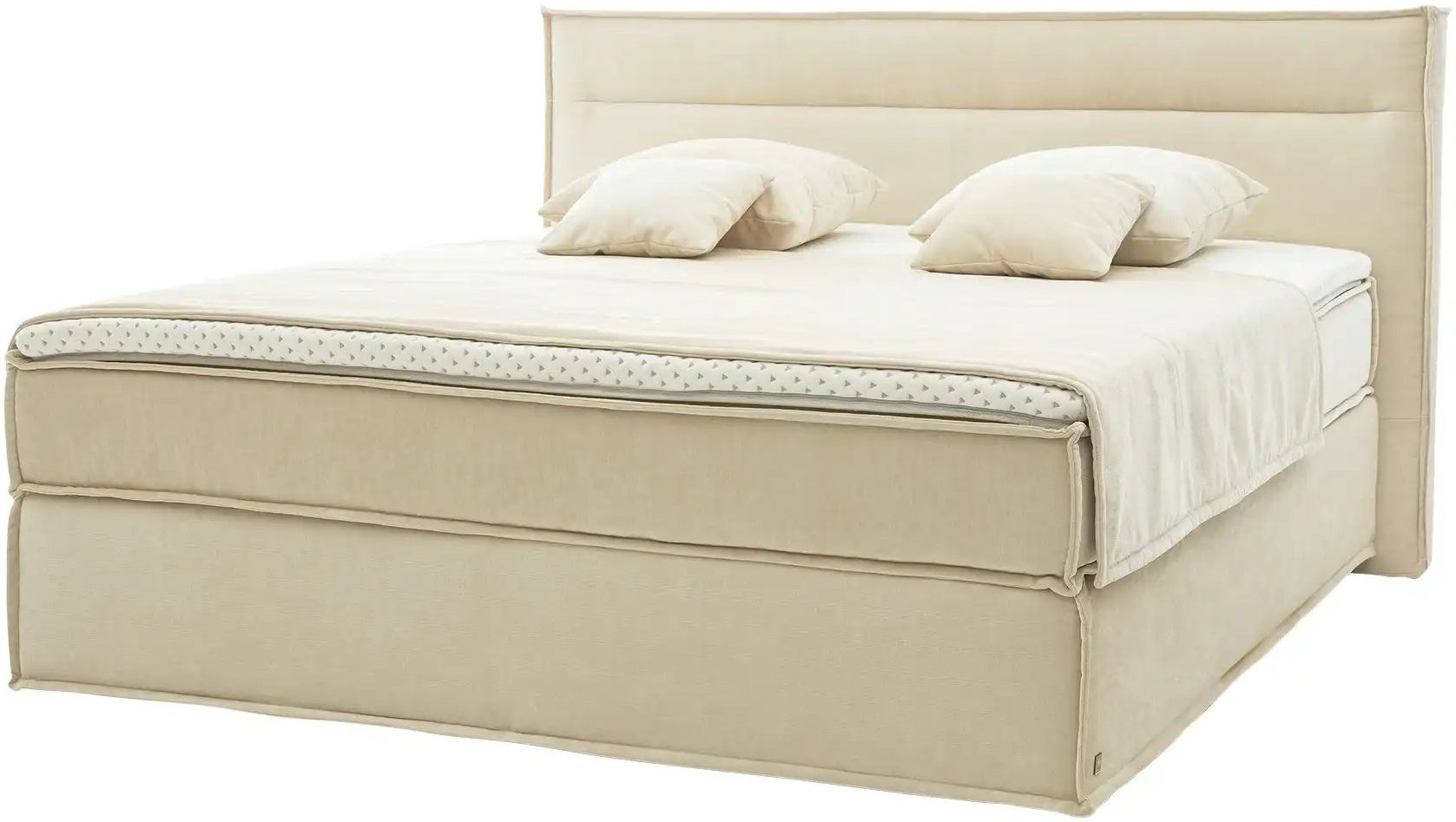 Musterring Boxspringbett JustB! ¦ creme ¦ Maße (cm): B: 220 H: 115 Betten > Boxspringbetten - Höffner