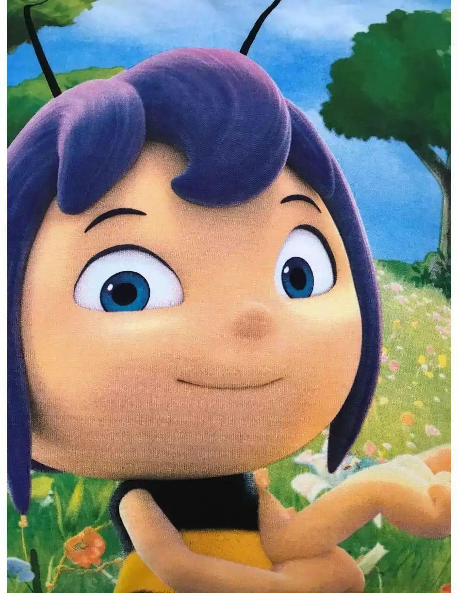 Herding Bettwäsche-Set Biene Maja ¦ mehrfarbig ¦ Maße (cm): B: 100 H: 1 Bettwaren > Bettwäsche > Kinderbettwäsche - Höf...