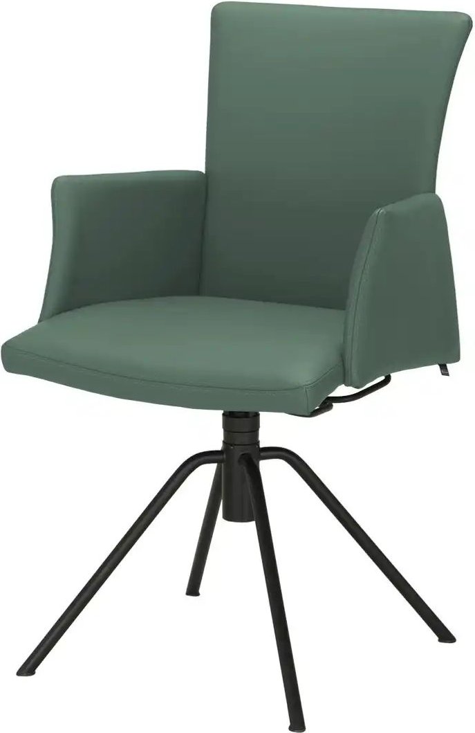 Musterring Esszimmerstuhl Helmond ¦ grün ¦ Maße (cm): B: 57 H: 91 T: 58.0 Stühle > Esszimmerstühle > Esszimmerstühle mi...