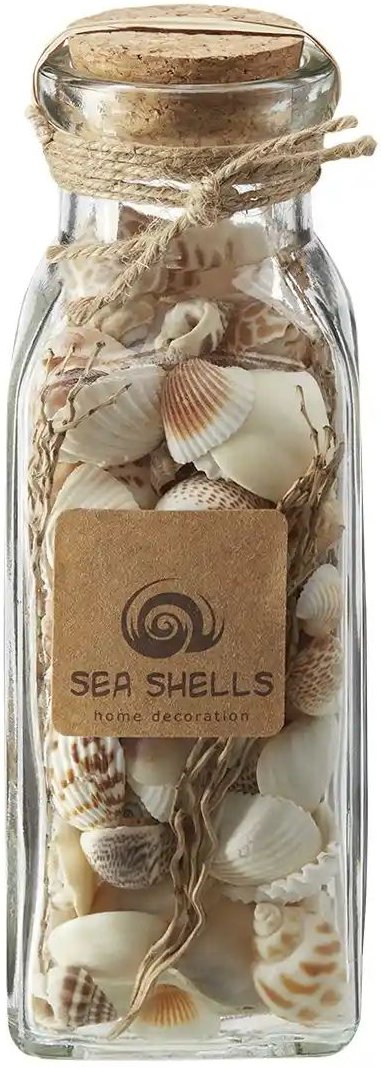 HOME STORY Muschelmix im Glas ¦ beige ¦ Naturprodukte,Glas ¦ Maße (cm): B: 6,5 H: 19 T: 6.5 Accessoires > Dekoartikel ...