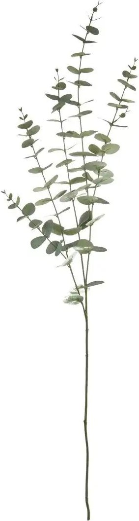 Eukalyptuszweig   ¦ grün ¦ Kunststoff ¦ Maße (cm): H: 122 Accessoires > Kunstblumen - Höffner