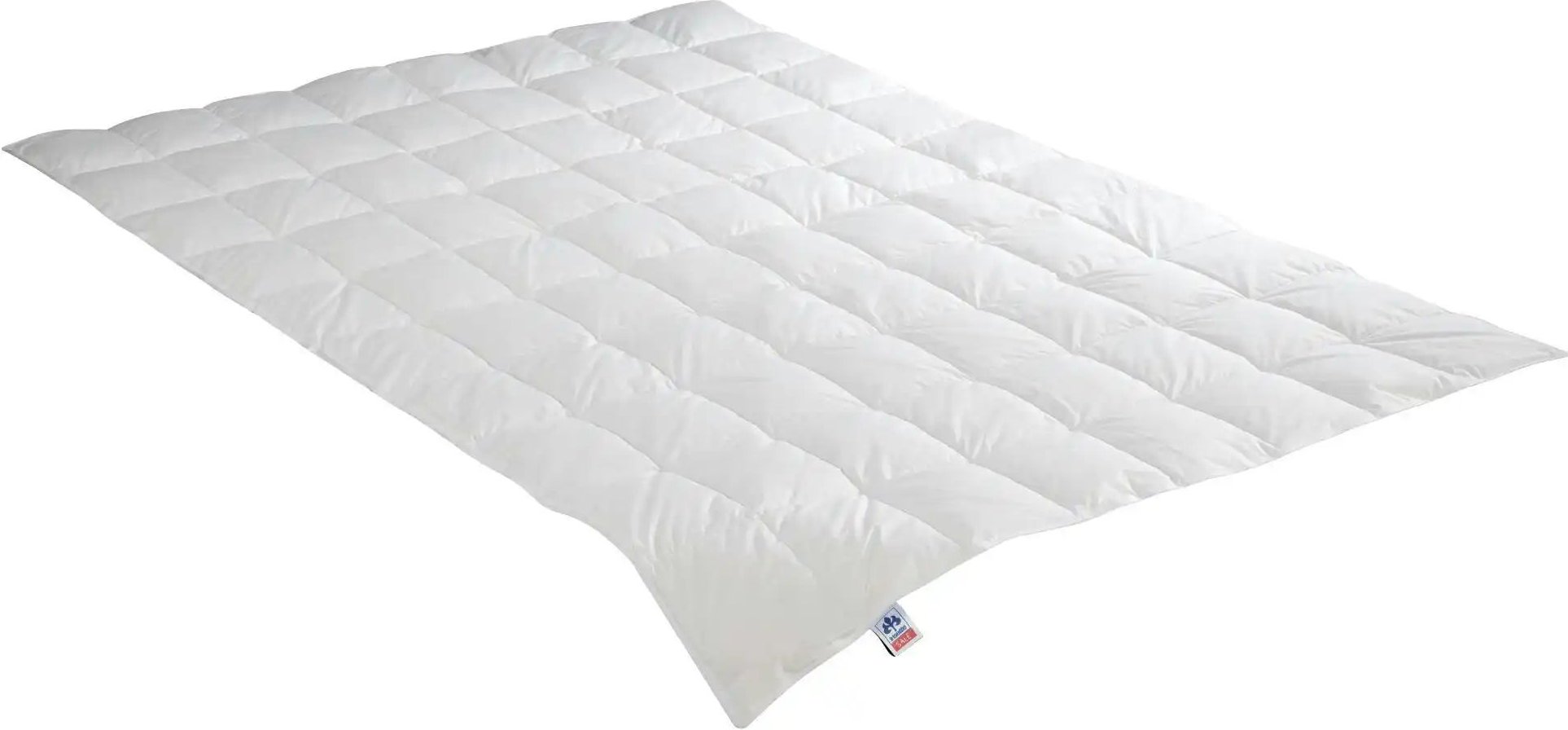 IRISETTE Leicht-Daunensteppbett Irisette NORA ¦ weiß ¦ Maße (cm): B: 200 Bettwaren > Bettdecken > Sommer-Bettdecken - H...