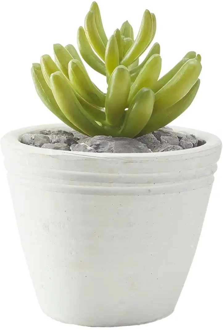 Sukkulente im Zementtopf ¦ grün ¦ Kunststoff,Zement,Stein ¦ Maße (cm): H: 12,5 Ø: 9 Accessoires > Kunstblumen - Höffn...