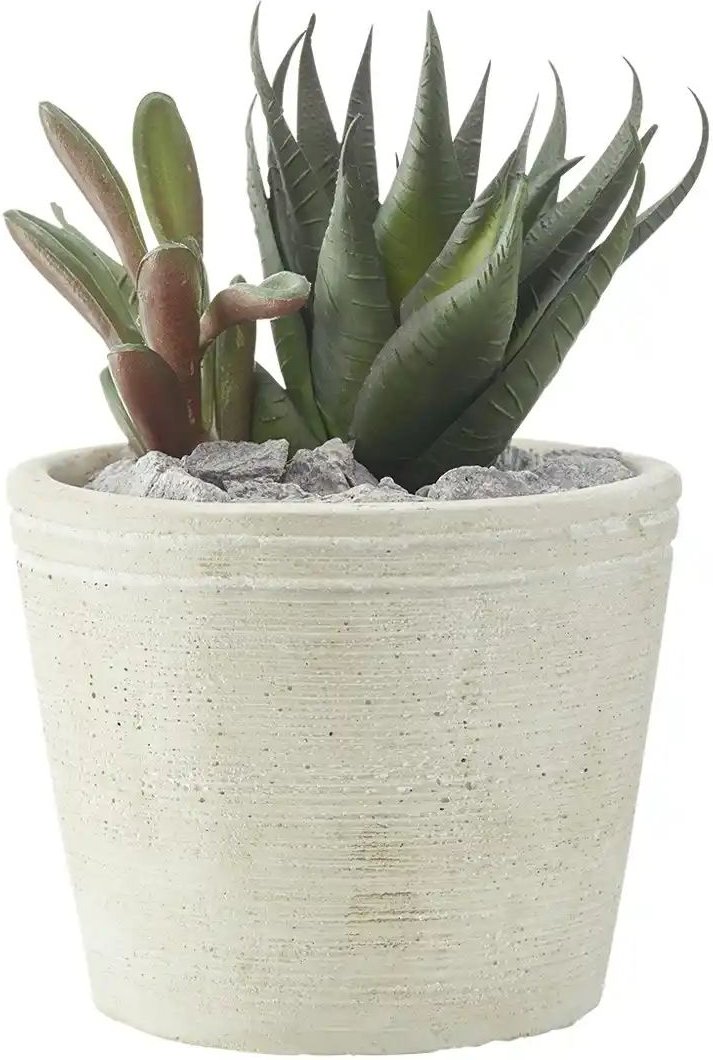 Sukkulente im Zementtopf ¦ grün ¦ Kunststoff,Zement ¦ Maße (cm): H: 16,5 Ø: 14 Accessoires > Kunstblumen - Höffner