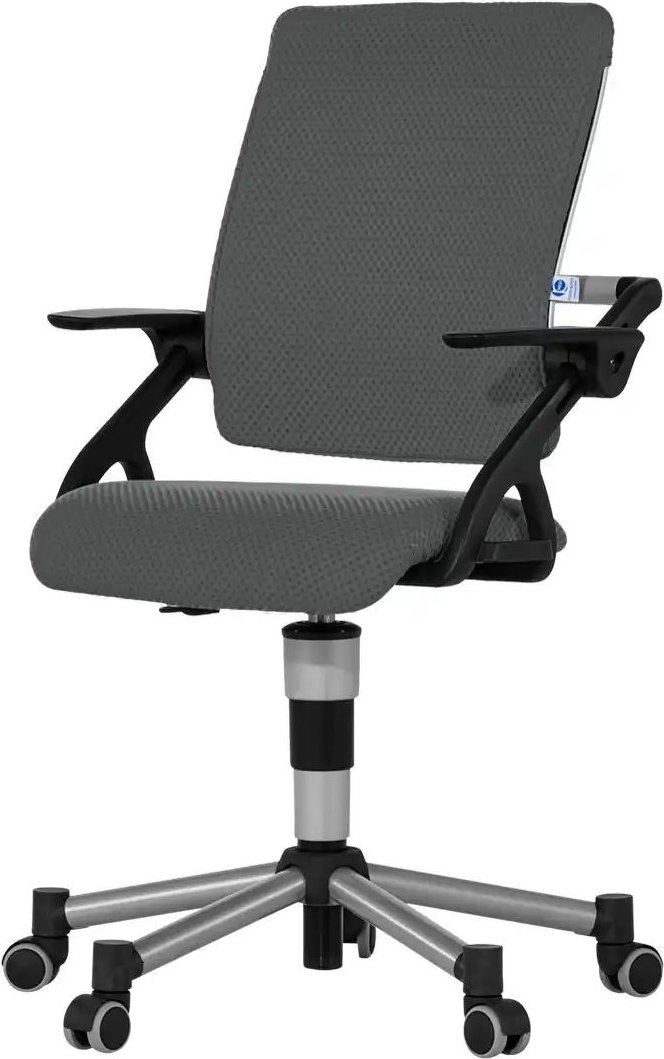 PAIDI Kinder- und Jugenddrehstuhl Tio ¦ grau ¦ Maße (cm): B: 58 H: 97 T: 54.0 Stühle > Bürostühle - Höffner