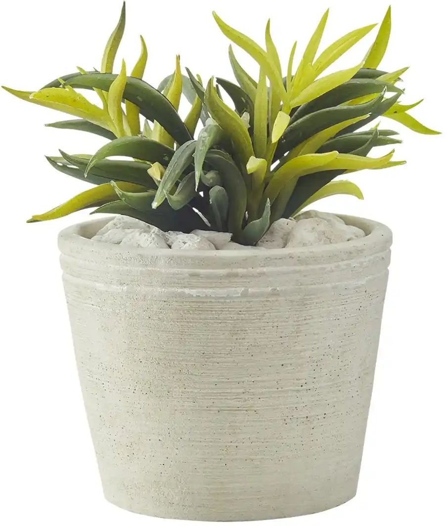 Sukkulente im Zementtopf ¦ grün ¦ Kunststoff,Zement ¦ Maße (cm): H: 16 Ø: 14 Accessoires > Kunstblumen - Höffner