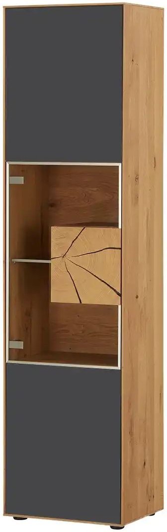 HARTMANN Vitrine Caya ¦ grau ¦ Maße (cm): B: 50 H: 196 T: 39.0 Schränke > Vitrinen - Höffner