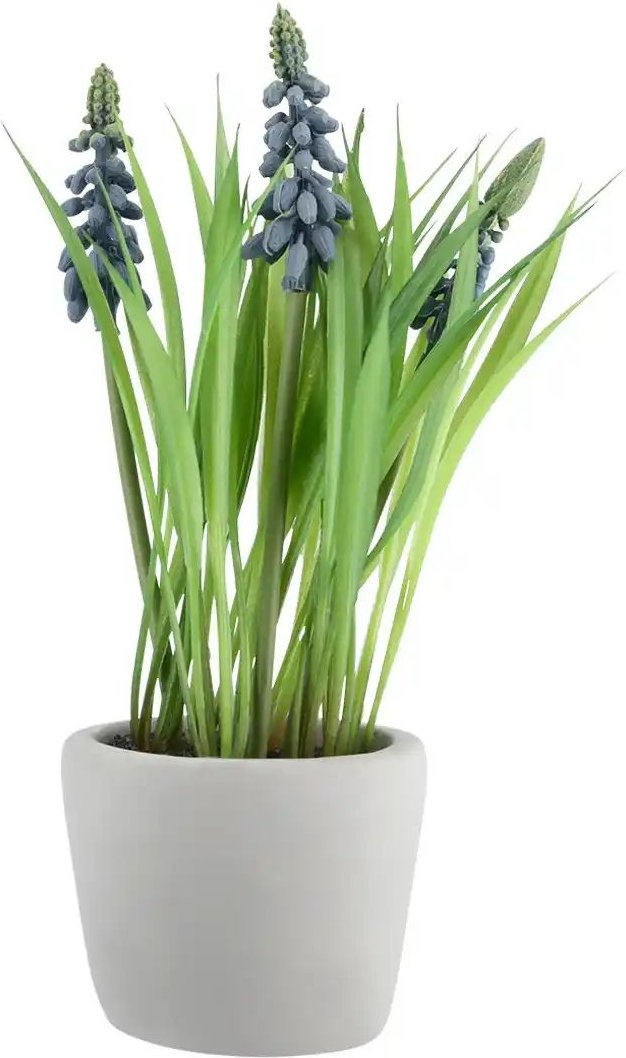 Perlhyazinthen im Zementtopf ¦ blau ¦ Kunststoff,Zement ¦ Maße (cm): H: 21 Accessoires > Kunstblumen - Höffner