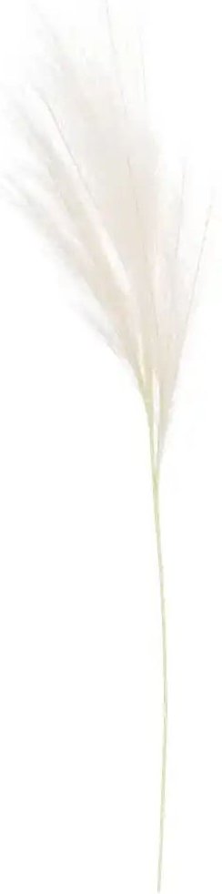 Pampaswedel ¦ rosa/pink ¦ Kunststoff,Naturfaser ¦ Maße (cm): B: 18 H: 110 Accessoires > Kunstblumen - Höffner