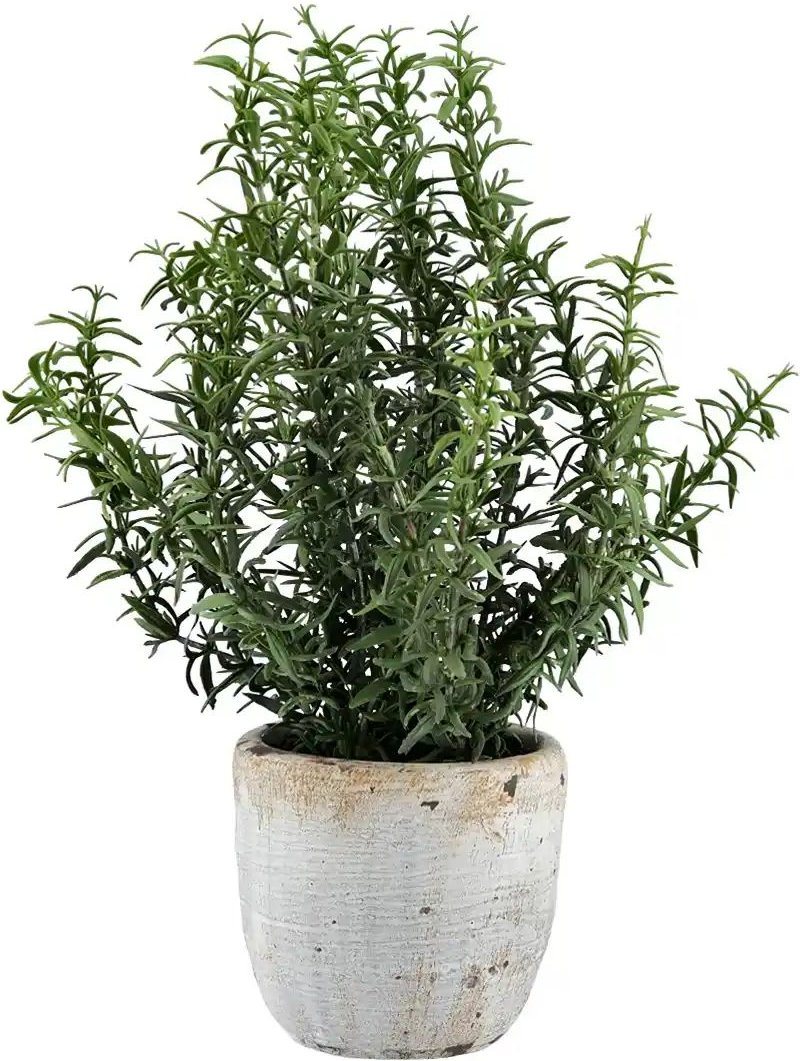 Rosmarin getopft   ¦ grün ¦ Kunststoff,Metall,Zement ¦ Maße (cm): H: 33  Ø: 25 Accessoires > Kunstblumen - Höffner