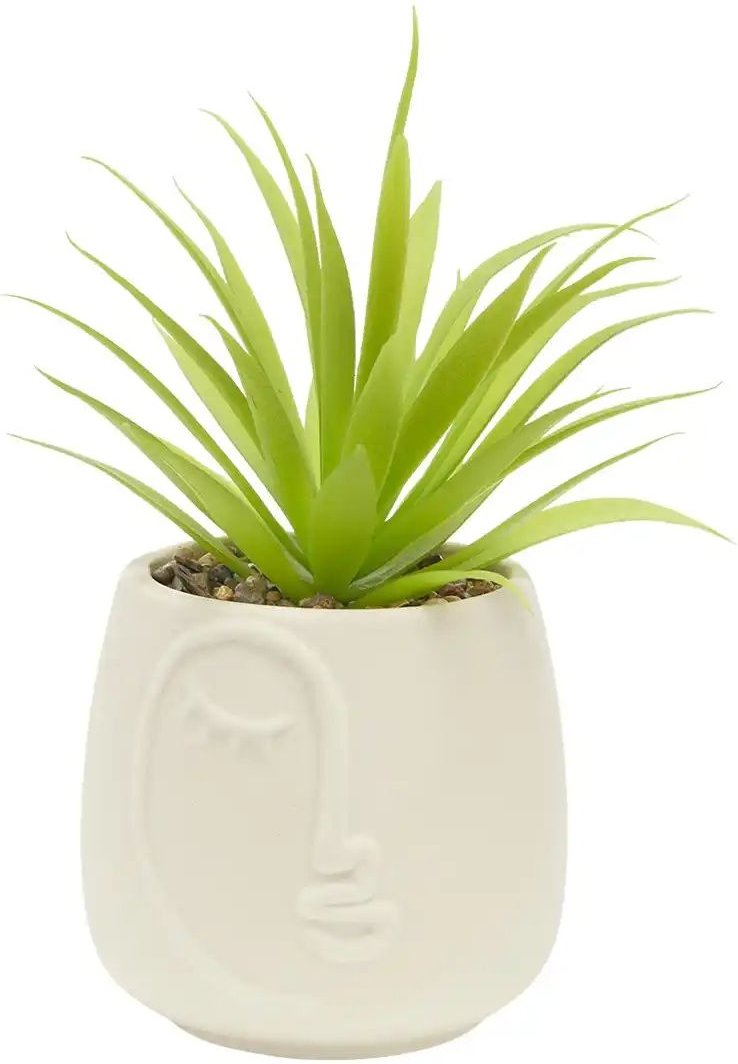 Sukkulente im Keramiktopf ¦ creme ¦ Dolomite,Kunststoff,Stein ¦ Maße (cm): H: 14 Ø: 8.8 Accessoires > Kunstblumen - H...