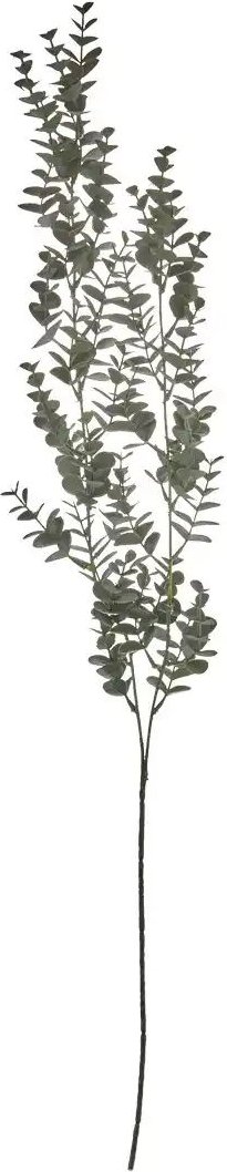 Eukalyptushänger   ¦ grün ¦ Kunststoff Accessoires > Kunstblumen - Höffner