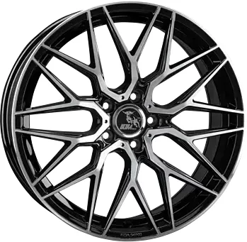 RACE-EVO (UA1E) 8 0x19 5x112 ET30 MB66 5