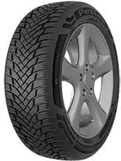 225/55 ZR17 101W Multi Action PT565 XL