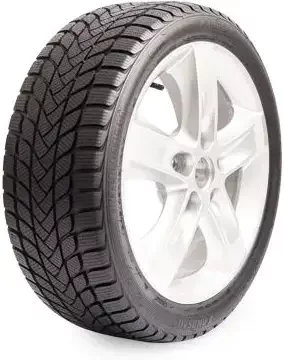 215/55 R17 98H Winter Lander