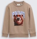 TOM TAILOR Jungen Sweatshirt mit Print, braun, Uni, Gr. 92/98