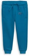 Thumbnail - TOM TAILOR Jungen Jogginghose mit Print, grün, Uni, Gr. 128/134