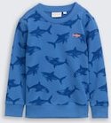 TOM TAILOR Jungen Basic Sweatshirt mit Allover-Print, blau, Gemustert, Gr. 92/98