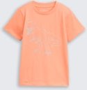 TOM TAILOR Jungen Glow-in-the-Dark T-Shirt, bunt, Uni, Gr. 116/122