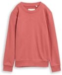 TOM TAILOR Jungen Basic Sweatshirt mit Print, rot, Uni, Gr. 152